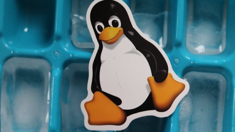 Close-up of a Linux penguin sticker placed on a blue ice cube tray with frozen cubes.